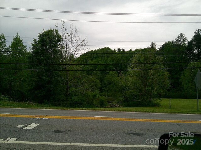 4016 Brevard Rd, Horse Shoe, NC 28742 - photo 3