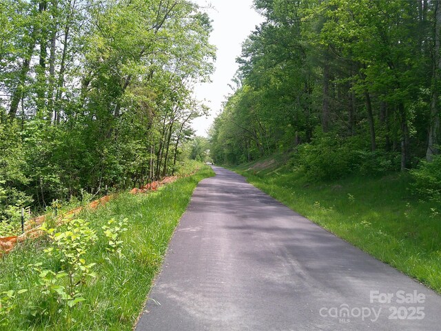 4016 Brevard Rd, Horse Shoe, NC 28742 - photo 8