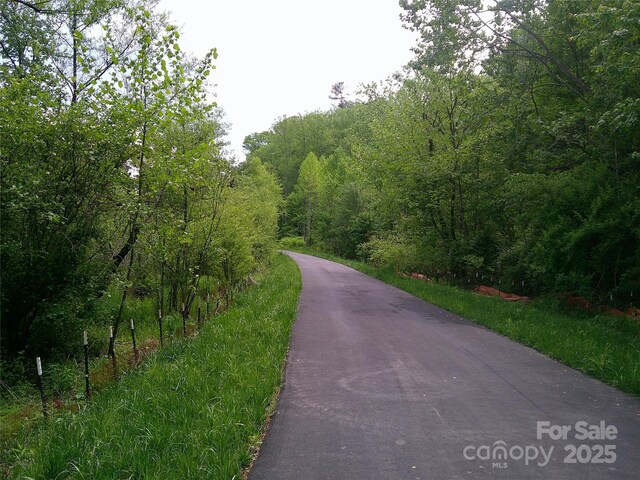 4016 Brevard Rd, Horse Shoe, NC 28742 - photo 13
