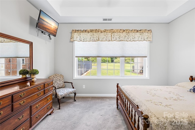 bedroom featuring light carpet, baseboards, and a raised ceiling