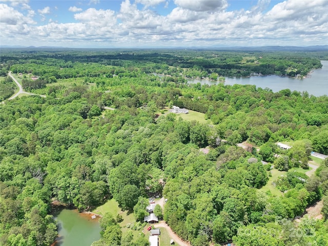 4585 Sunrise Beach Rd, Catawba, NC 28609 - bird's eye view of a forest and a nearby body of water