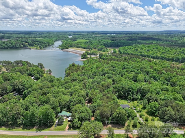 4585 Sunrise Beach Rd, Catawba, NC 28609 - bird's eye view of a forest and a large body of water