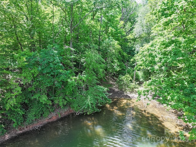 4585 Sunrise Beach Rd, Catawba, NC 28609 - view of undeveloped land