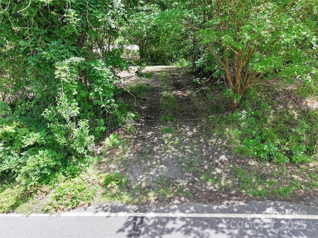 4585 Sunrise Beach Rd, Catawba, NC 28609 - view of undeveloped land