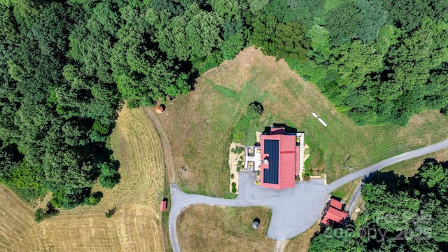 bird's eye view
