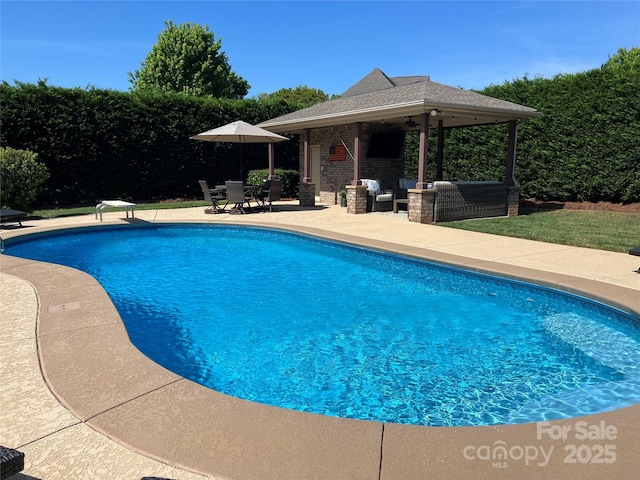 3000 J R Ct, Stanley, NC 28164 - pool featuring a patio, an outdoor hangout area, a gazebo, a diving board, and an outbuilding