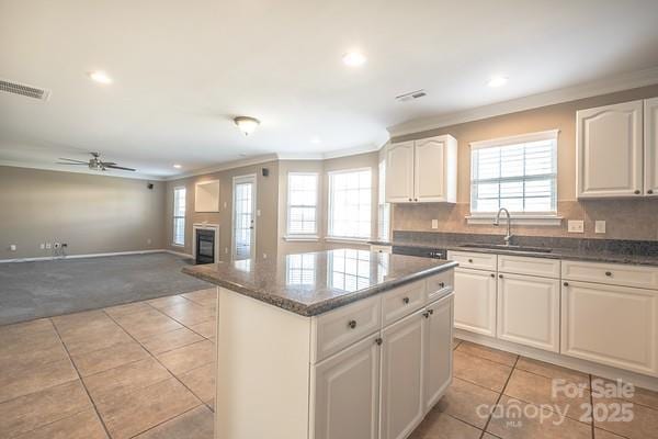 10146 Hawkeye Dr Unit 2, Charlotte, NC 28273 - photo 6