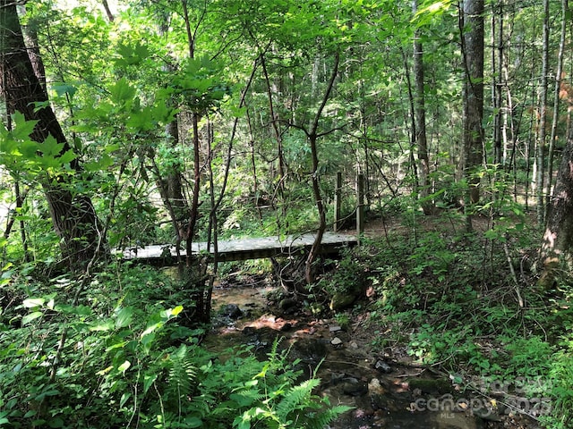 view of local wilderness with a wooded view