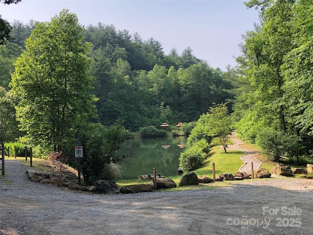 view of water feature featuring a view of trees