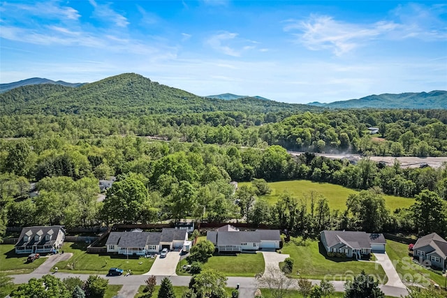 45 Eden Glen Rd, Black Mountain, NC 28711 - photo 6