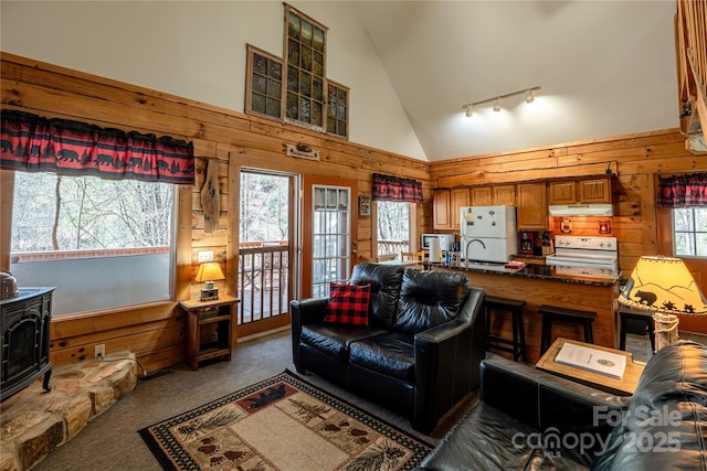 carpeted living room featuring a sink, rail lighting, wooden walls, high vaulted ceiling, and a wood stove