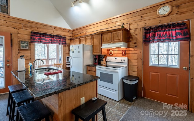 kitchen with under cabinet range hood, wood walls, white appliances, and a sink