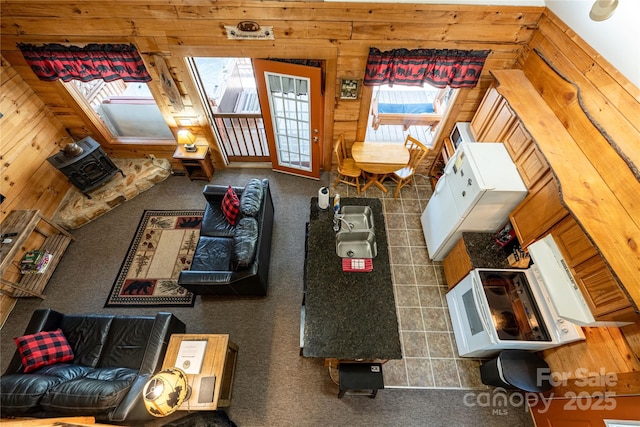 carpeted living area with a sink, wood walls, and plenty of natural light