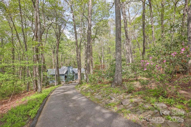 view of street featuring a wooded view and aphalt driveway