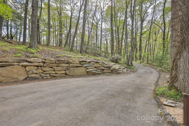 view of street with a wooded view