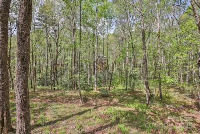 view of local wilderness featuring a view of trees