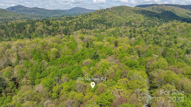 drone / aerial view with a view of trees and a mountain view