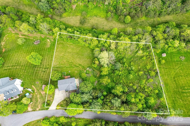 18 Benzington Way, Leicester, NC 28748 - aerial overview of property's location featuring property boundaries highlighted