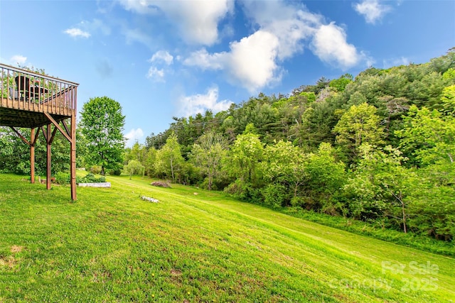 18 Benzington Way, Leicester, NC 28748 - view of green lawn with a deck and a view of trees