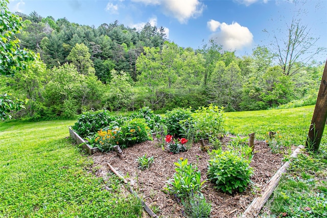 18 Benzington Way, Leicester, NC 28748 - view of green lawn with a vegetable garden