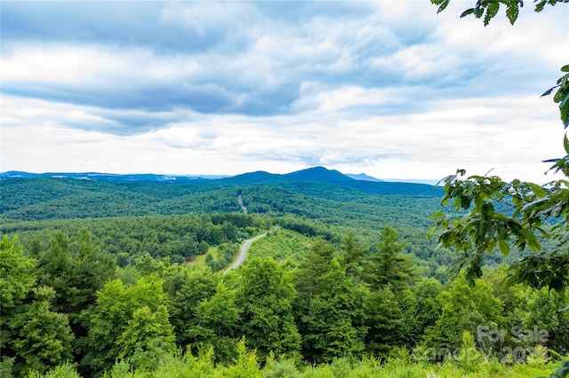 1053 Rich Hill Mountain Rd, Glade Valley, NC 28627 - view of mountain feature featuring a wooded view