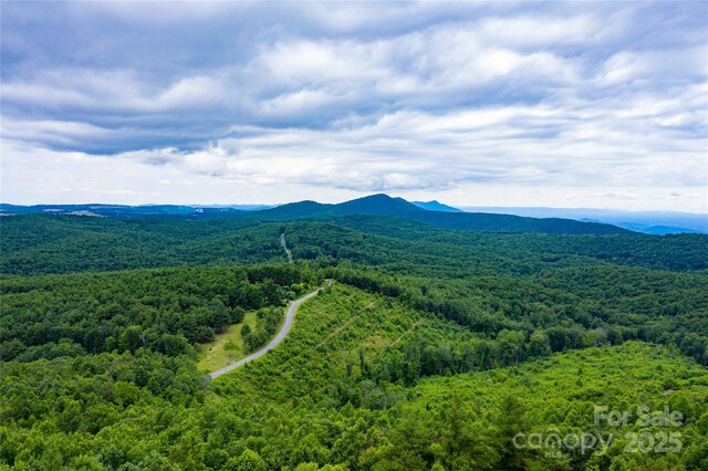 1053 Rich Hill Mountain Rd, Glade Valley, NC 28627 - bird's eye view featuring a view of trees and a mountain view