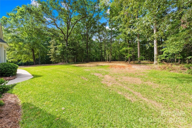 view of grassy yard