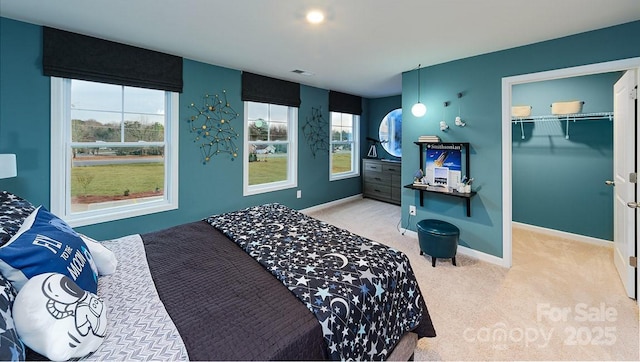 bedroom with baseboards, a spacious closet, multiple windows, and carpet