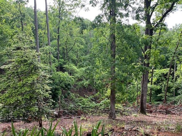 137 Amys Ridge Rd, Lake Lure, NC 28746 - view of local wilderness with a wooded view