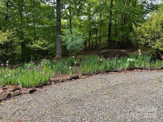 137 Amys Ridge Rd, Lake Lure, NC 28746 - view of yard