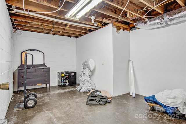 unfinished basement with concrete block wall