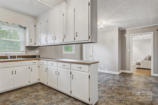 kitchen with a sink, ornamental molding, plenty of natural light, and stone finish flooring