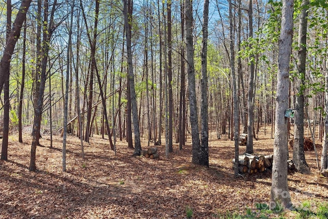 view of wooded area