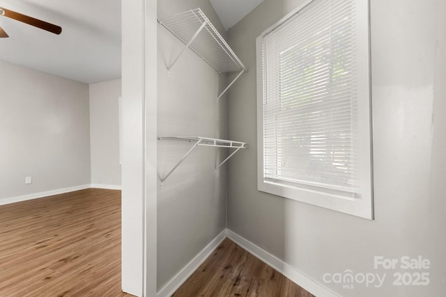 walk in closet featuring ceiling fan and wood finished floors