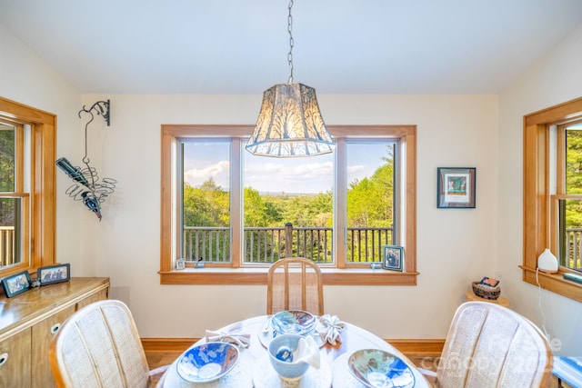 958 Alta Vista Ln, Sparta, NC 28675 - dining area featuring baseboards and wood finished floors