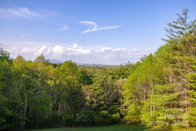 958 Alta Vista Ln, Sparta, NC 28675 - view of nature with a view of trees