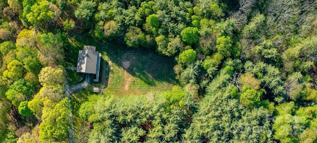 958 Alta Vista Ln, Sparta, NC 28675 - birds eye view of property