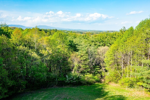 958 Alta Vista Ln, Sparta, NC 28675 - exterior space featuring a forest view