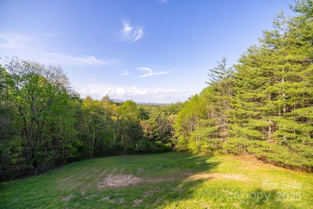 958 Alta Vista Ln, Sparta, NC 28675 - view of yard featuring a view of trees
