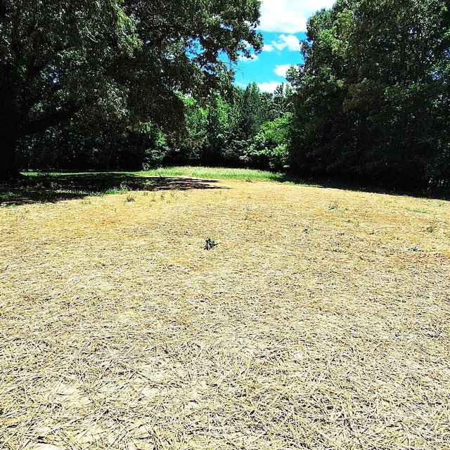 3114 Ansonville Rd, Marshville, NC 28103 - view of yard