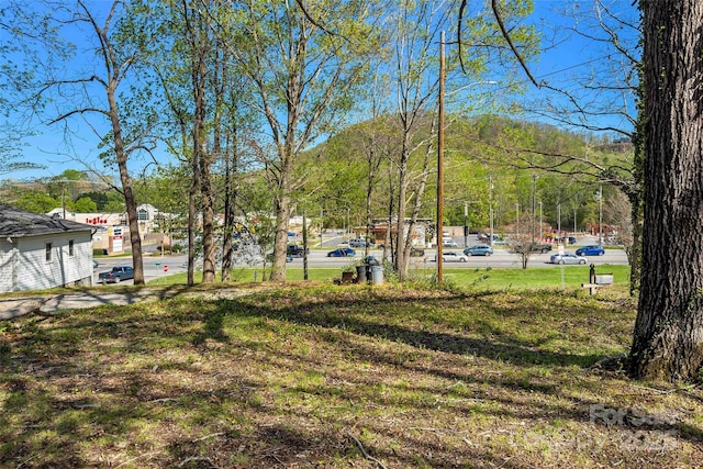 36 Catawba Ave, Marion, NC 28752 - photo 11
