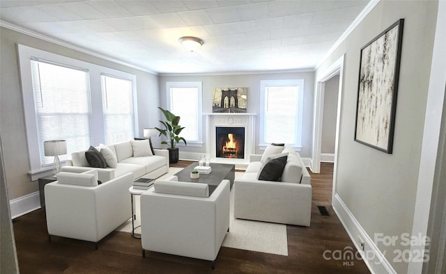 169 Freeze Ave NW, Concord, NC 28025 - living room with ornamental molding, a premium fireplace, and dark wood-type flooring