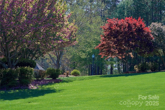 5342 Beacon Ridge Dr, Granite Falls, NC 28630 - view of community featuring a lawn and a view of trees