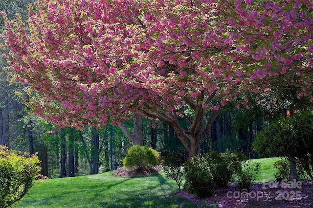 5342 Beacon Ridge Dr, Granite Falls, NC 28630 - view of community with a lawn