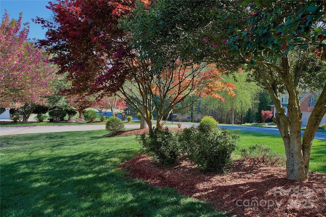 5342 Beacon Ridge Dr, Granite Falls, NC 28630 - view of home's community featuring a lawn