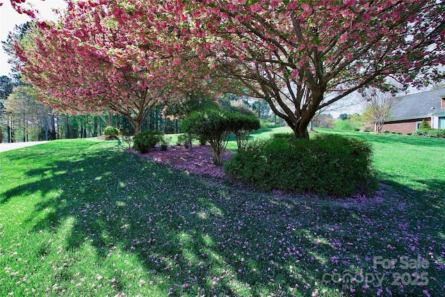 5342 Beacon Ridge Dr, Granite Falls, NC 28630 - view of green lawn