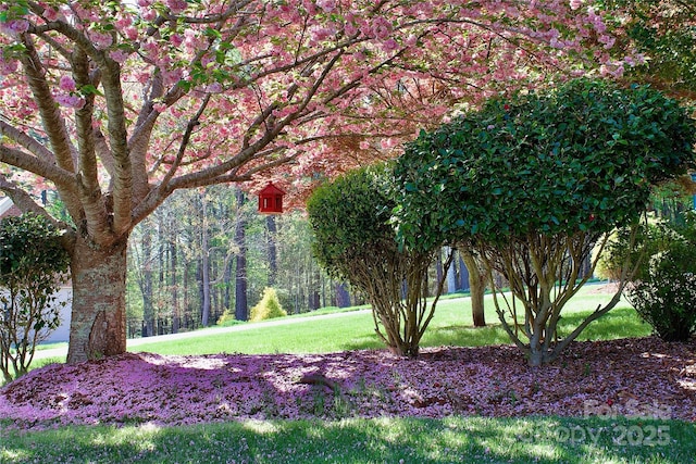 5342 Beacon Ridge Dr, Granite Falls, NC 28630 - view of home's community with a yard