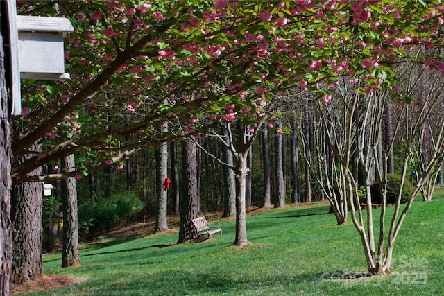 5342 Beacon Ridge Dr, Granite Falls, NC 28630 - view of grassy yard