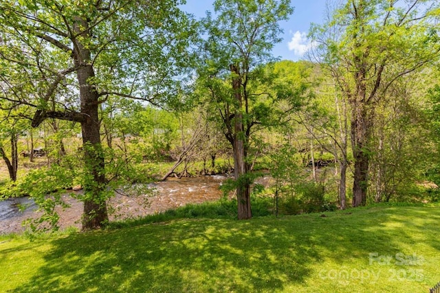 87 Marion Forest Rd Unit 8, Sylva, NC 28779 - view of yard with a wooded view