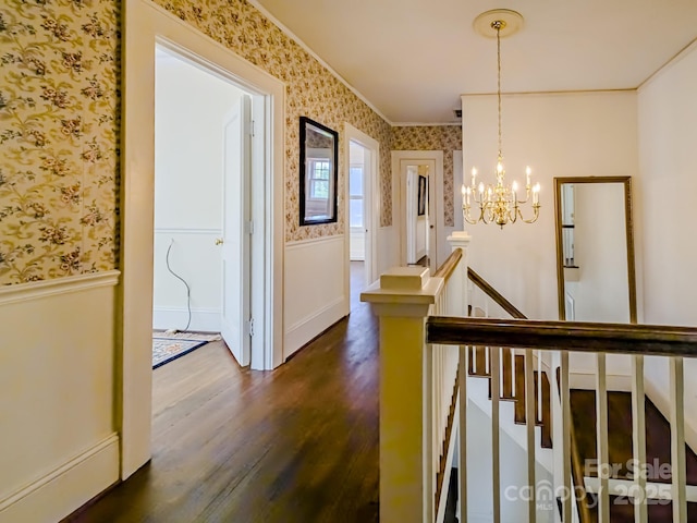 corridor featuring wallpapered walls, a wainscoted wall, dark wood-style flooring, a chandelier, and ornamental molding